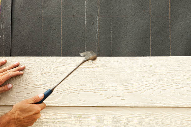 Best Custom Siding Design  in Oakland, OK